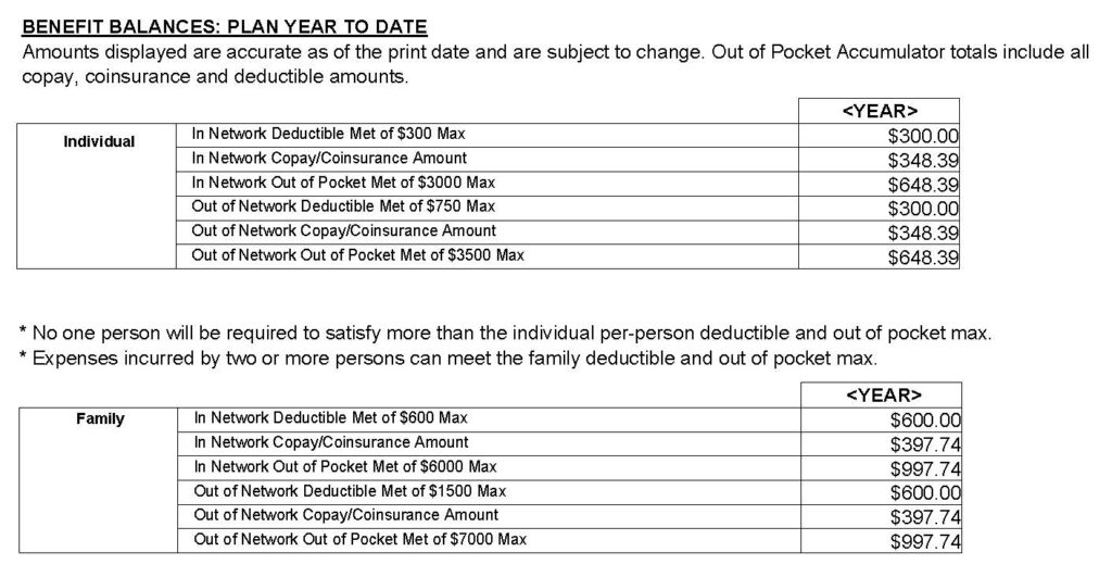 Sample chart for the Benefit Balances section of EHP explanation of benefits document.